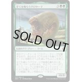 [EX]全てを喰らうグロサーマ/Grothama, All-Devouring《日本語》【BBD】