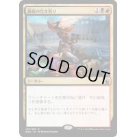 最後の生き残り/Last One Standing《日本語》【BBD】