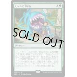 ピールの気紛れ/Pir's Whim《日本語》【BBD】