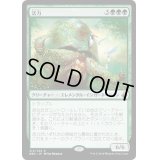 活力/Vigor《日本語》【BBD】