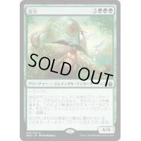 活力/Vigor《日本語》【BBD】