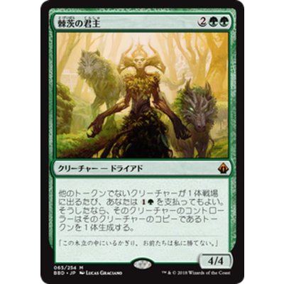 [EX+]棘茨の君主/Bramble Sovereign《日本語》【BBD】