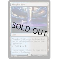 [PLD]変遷の泉/Morphic Pool《英語》【BBD】