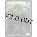 鉄葉のチャンピオン/Steel Leaf Champion《日本語》【Game Day & Store Championship Promos(DOM)】