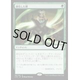 [EX]硬化した鱗/Hardened Scales《日本語》【Commander 2016】