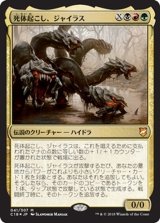 死体起こし、ジャイラス/Gyrus, Waker of Corpses《日本語》【Commander 2018】