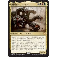 死体起こし、ジャイラス/Gyrus, Waker of Corpses《日本語》【Commander 2018】