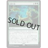 起源の嵐/Genesis Storm《日本語》【Commander 2018】