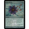 [EX]睡蓮の花/Lotus Bloom《英語》【Prerelease Cards(TSP)】