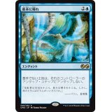 [EX]基本に帰れ/Back to Basics《日本語》【UMA】