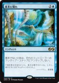 基本に帰れ/Back to Basics《日本語》【UMA】