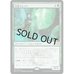 画像1: [EX+](FOIL)培養ドルイド/Incubation Druid《日本語》【RNA】