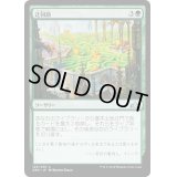 迂回路/Circuitous Route《日本語》【GRN】