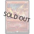 [EX+](FOIL)舞台照らし/Light Up the Stage《日本語》【FNM Promos】
