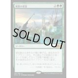 [PLD]風景の変容/Scapeshift《日本語》【M19】