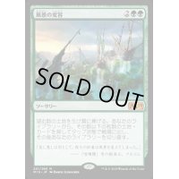 [HPLD]風景の変容/Scapeshift《日本語》【M19】