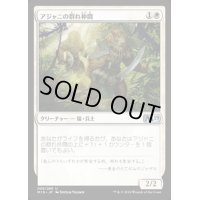 アジャニの群れ仲間/Ajani's Pridemate《日本語》【M19】
