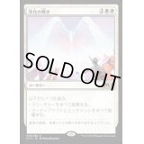 浄化の輝き/Cleansing Nova《日本語》【M19】