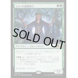 [EX]エルフの部族呼び/Elvish Clancaller《日本語》【M19】
