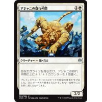 アジャニの群れ仲間/Ajani's Pridemate《日本語》【WAR】