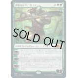 野蛮な伝令、ガラク/Garruk, Savage Herald《日本語》【M21】