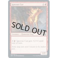 (FOIL)炎血の野犬/Igneous Cur《英語》【M21】