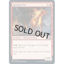 画像1: [EX+](FOIL)炎血の野犬/Igneous Cur《英語》【M21】