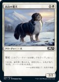 高山の番犬/Alpine Watchdog《日本語》【M21】