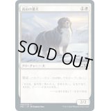 [EX+]高山の番犬/Alpine Watchdog《日本語》【M21】