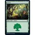 [EX+](074)森/Forest《英語》【JMP】