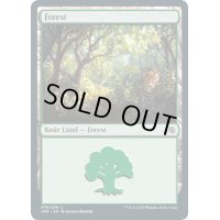 [EX+](074)森/Forest《英語》【JMP】