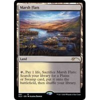 [EX]湿地の干潟/Marsh Flats《英語》【SLU】