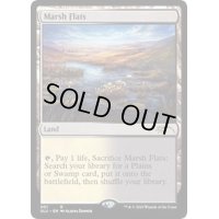 [EX+]湿地の干潟/Marsh Flats《英語》【SLU】