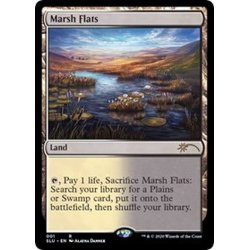 画像1: [EX]湿地の干潟/Marsh Flats《英語》【SLU】