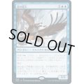 [EX+](FOIL)謎の盗人/Enigma Thief《日本語》【ZNC】