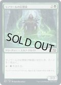 [EX+]ラノワールの幻想家/Llanowar Visionary《日本語》【M21】