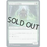 ラノワールの幻想家/Llanowar Visionary《日本語》【M21】