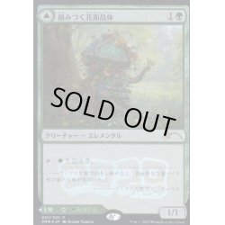 画像1: (FOIL)絡みつく花面晶体/Tangled Florahedron《日本語》【Media Promos】