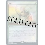 (FOIL)輪作/Crop Rotation《日本語》【Media Promos】