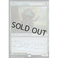 [EX+](FOIL)絡みつく花面晶体/Tangled Florahedron《日本語》【Media Promos】