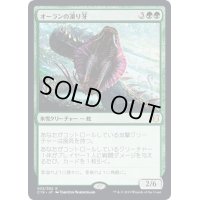 [EX]オーランの凍り牙/Ohran Frostfang《日本語》【Commander 2019】