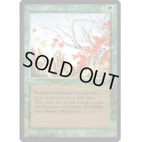[EX+]Untamed Wilds《英語》【LEG】