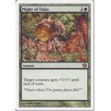 樫の力/Might of Oaks《日本語》【9ED】