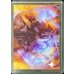画像1: サイドローダー『(ショーケース枠)梅澤悟/Satoru Umezawa』《-》【サプライ】 (1)