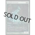 [EX]絡み根の霊/Strangleroot Geist《英語》【Reprint Cards(The List)】