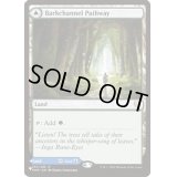 [EX+]樹皮路の小道/Barkchannel Pathway《英語》【Reprint Cards(Secret Lair Commander)】