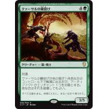 [EX+]クァーサルの礫投げ/Qasali Slingers《日本語》【Commander 2017】