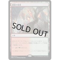 [EX](FOIL)銅線の地溝/Copperline Gorge《日本語》【ONE】