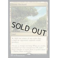 [EX+]風変わりな果樹園/Exotic Orchard《英語》【NCC】