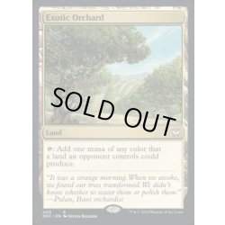 画像1: 風変わりな果樹園/Exotic Orchard《英語》【NCC】